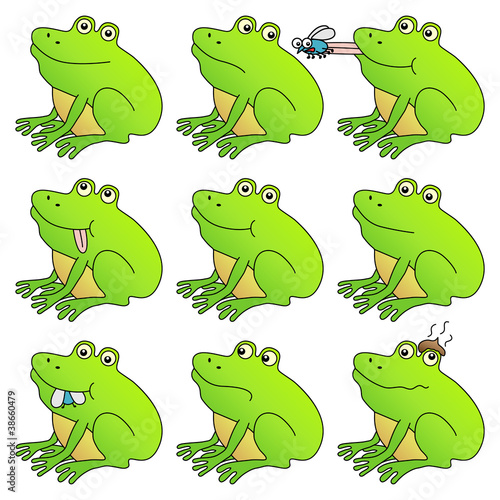 Frog mega set