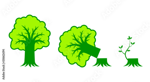 Tree icon