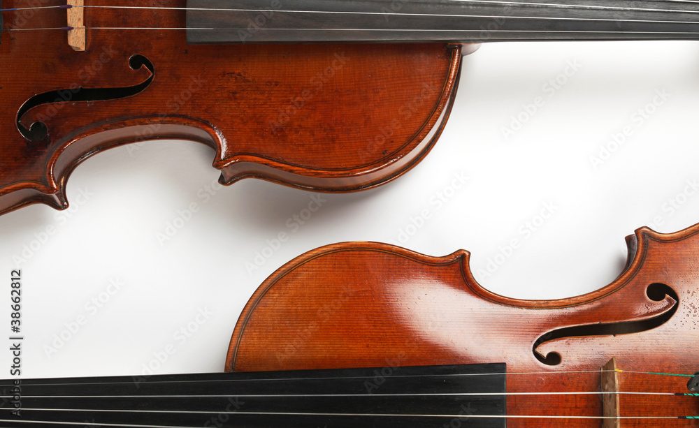 Fototapeta premium Geigen-Duett