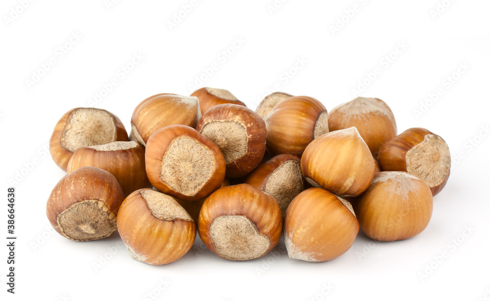 Hazelnuts Composition