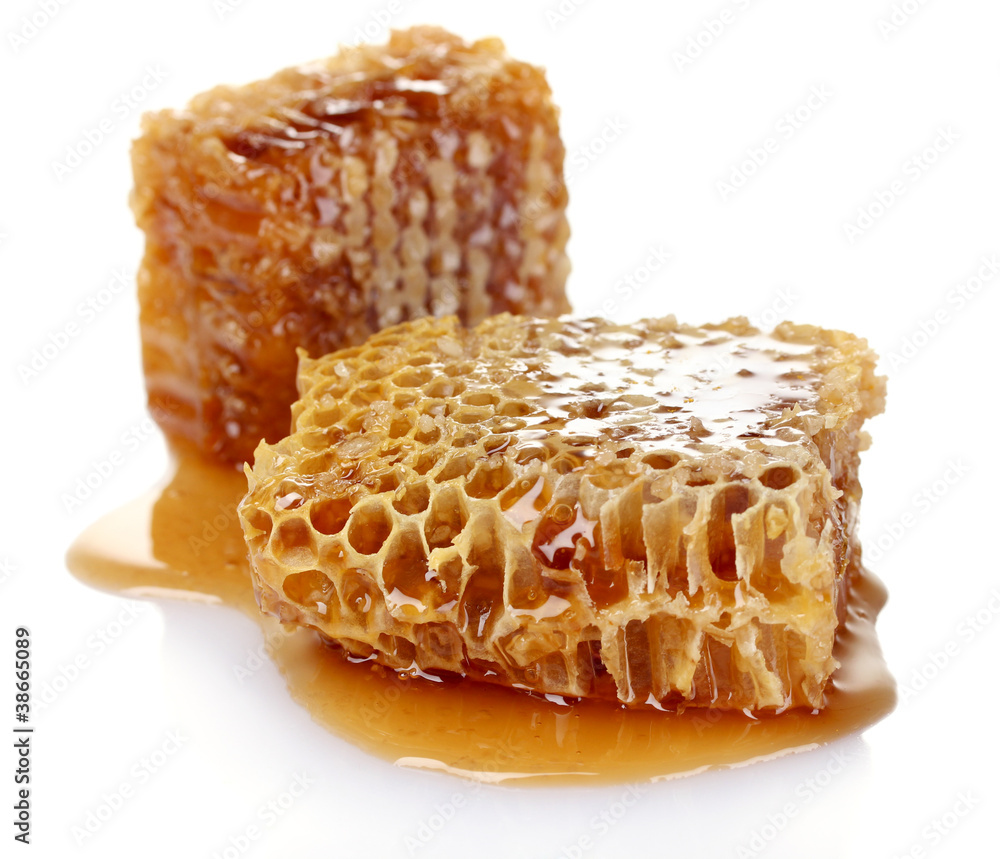 Combs with honey isolated on white Combs with honey isolated on white