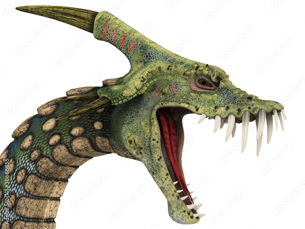 Fototapeta premium dinosaur anaconda head portrait
