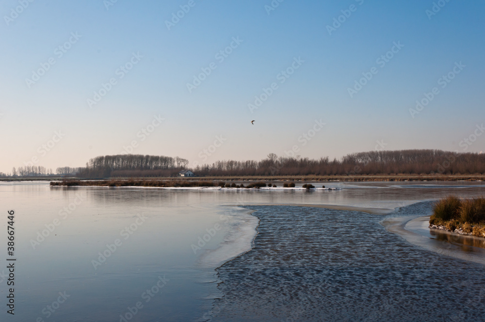The formation of ice in a Dutch nature reserve
