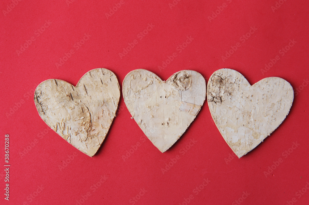 Obraz premium Love forever. Heart shape make of tree bark
