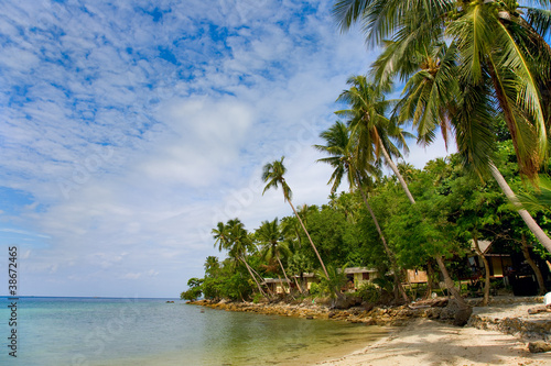 sea and beach with coconut palm and houses