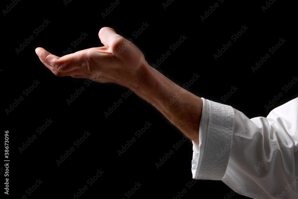 Fist. Hand fighter karate on the black background Fist. Hand fighter karate on the black background