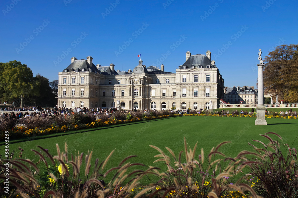 Fototapeta premium palais du luxembourg à paris