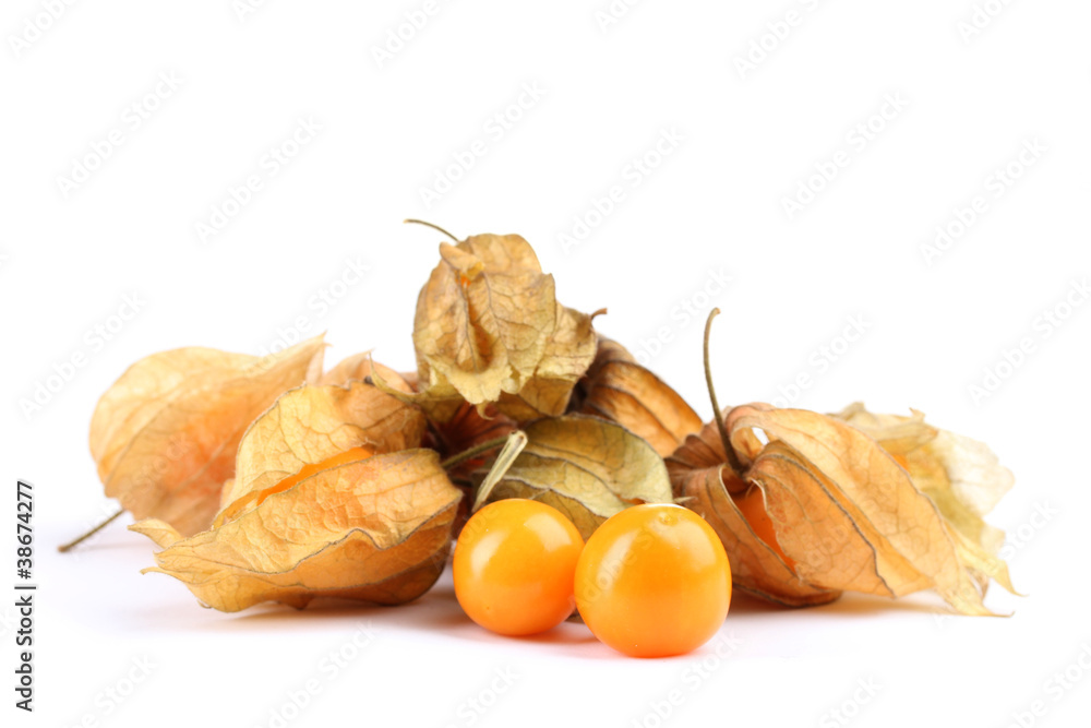 Physalis heap isolated on white Physalis heap isolated on white