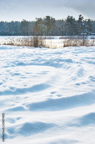 Snow Ground