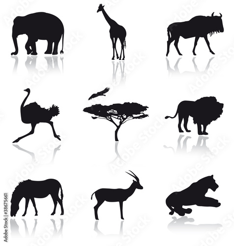 Fototapeta Naklejka Na Ścianę i Meble -  African animals set