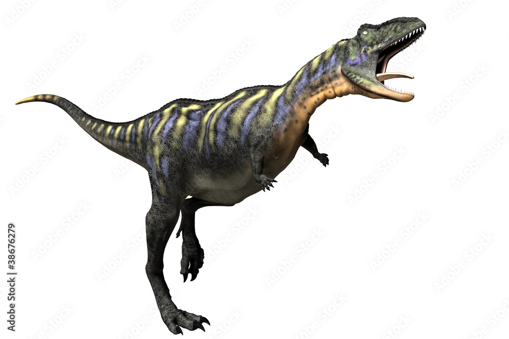Aucasaurus Aucasaurus