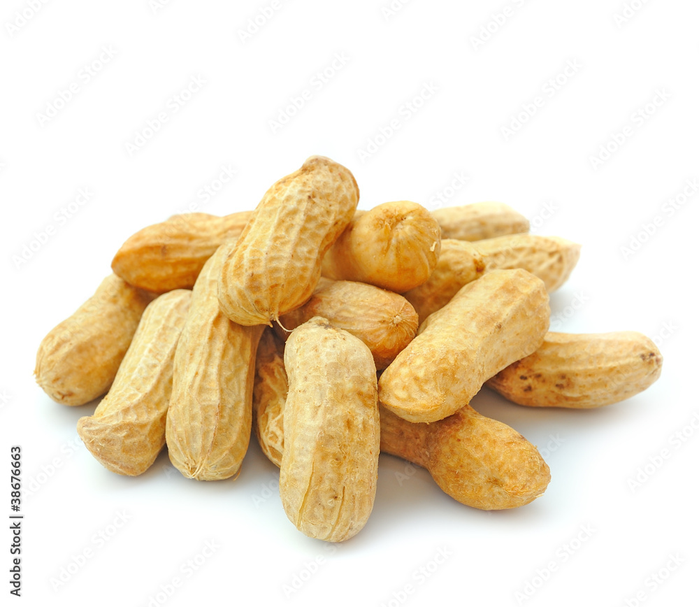 Peanut isolated on white background Peanut isolated on white background