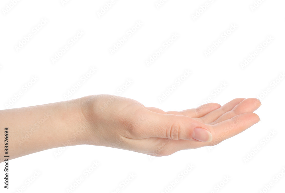 Open woman hand on white background Open woman hand on white background