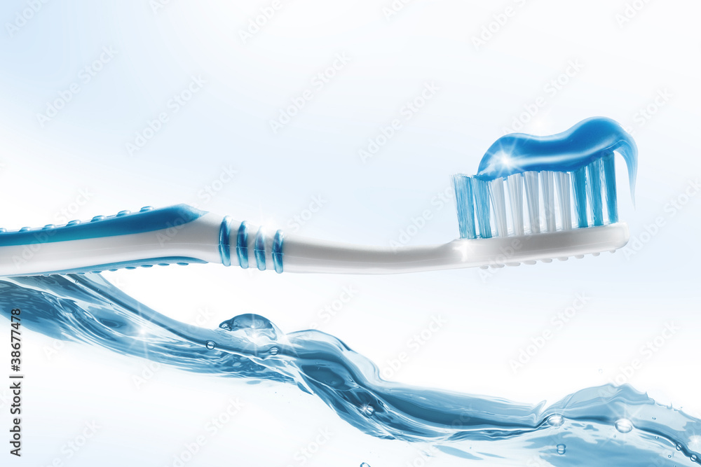 brush brush