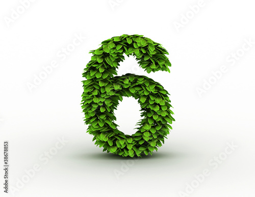 Number 6, alphabet of green leaves