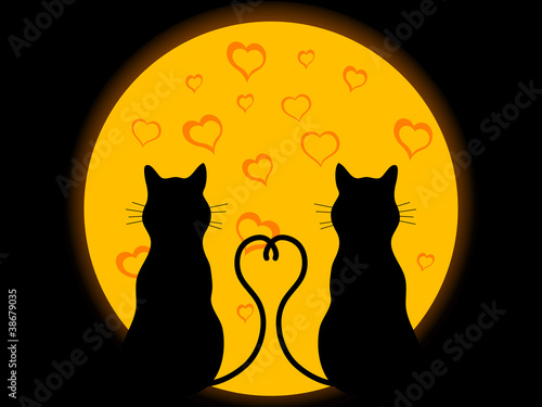 Cats in love