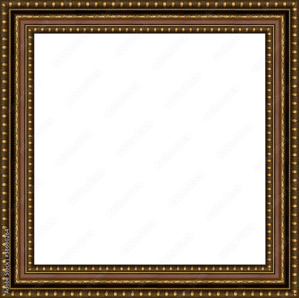 frame frame