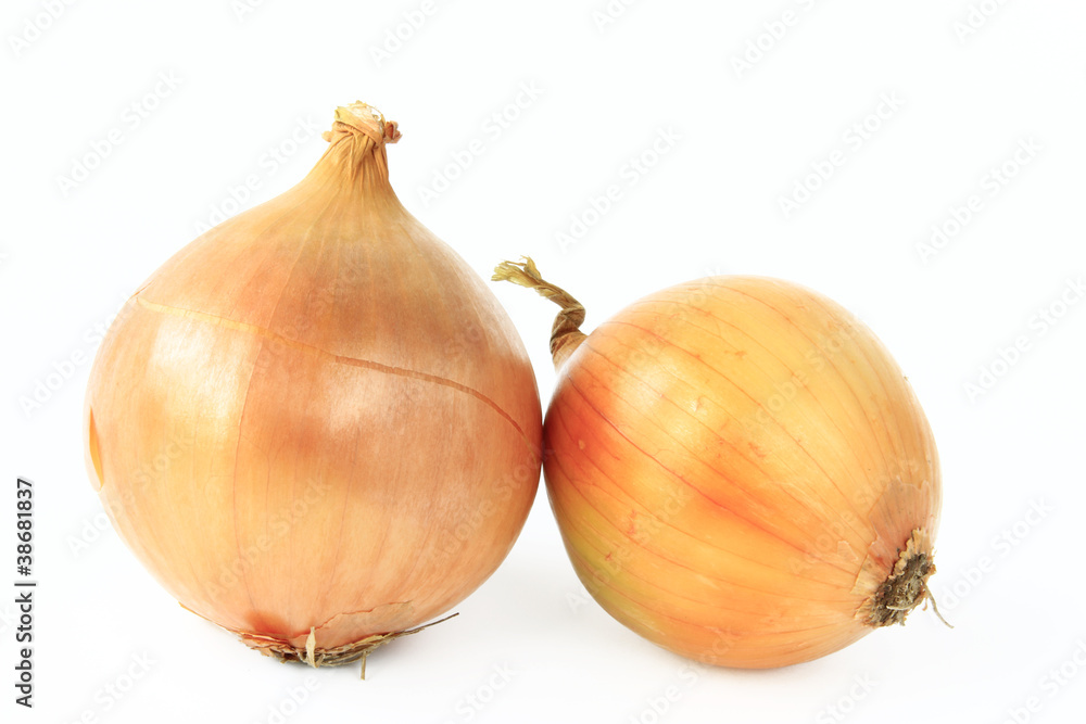 Fototapeta premium Zwiebel