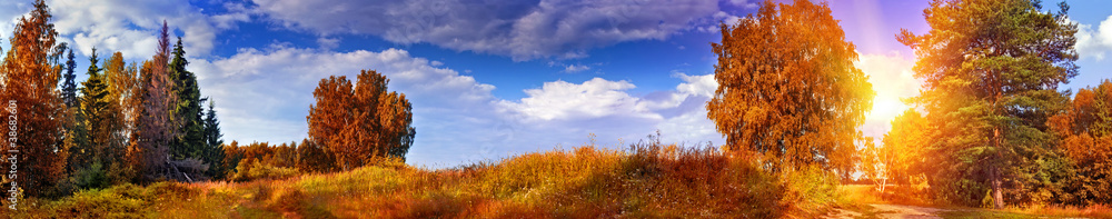 Autumn panoramic landscape with mixed forest