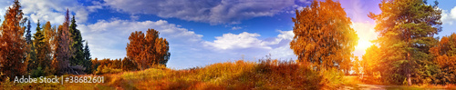 Autumn panoramic landscape with mixed forest