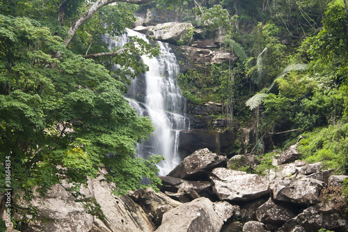 Beautiful rain forest and waterfall