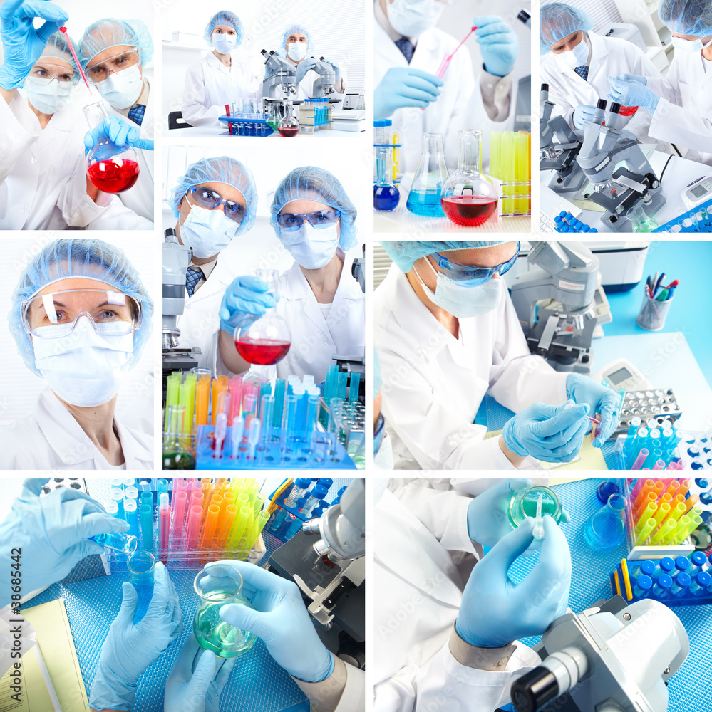 Collage. Science Team Collage. Science Team