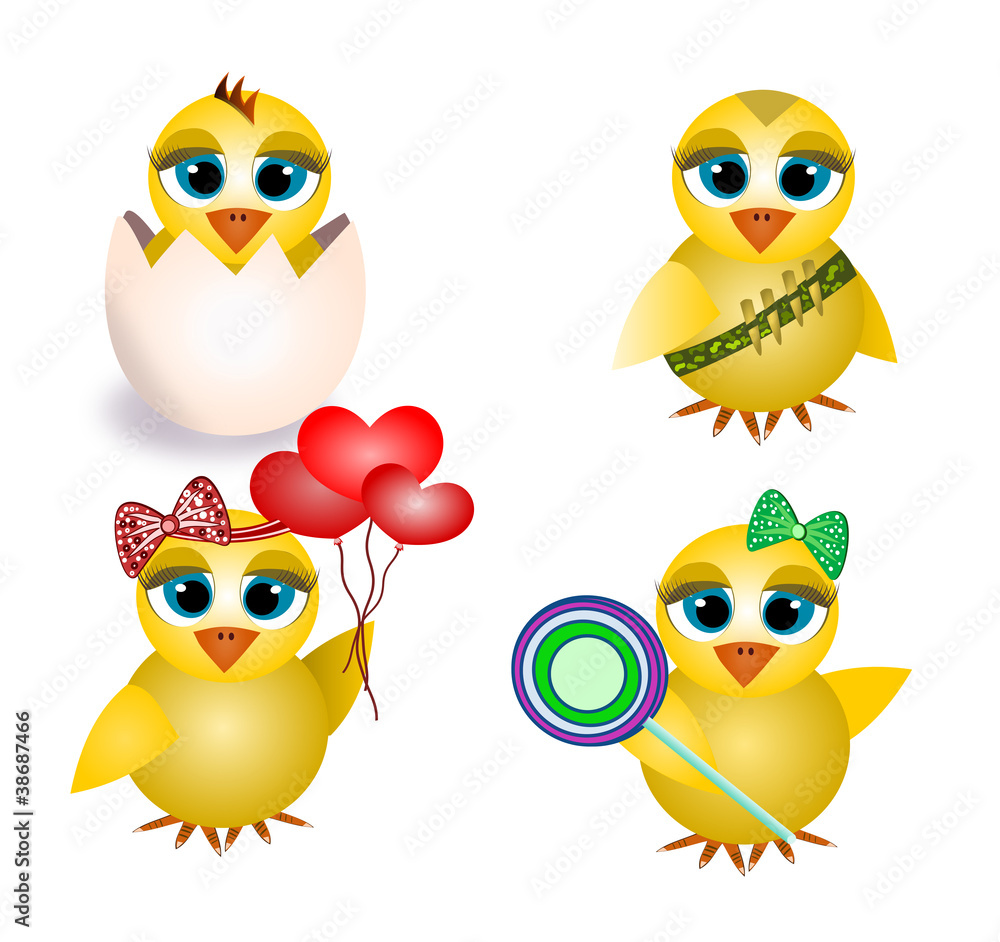 Chicks Chicks