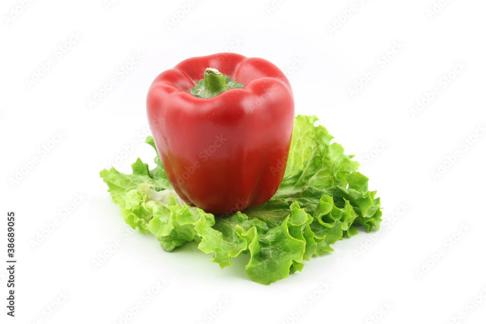 Bell pepper