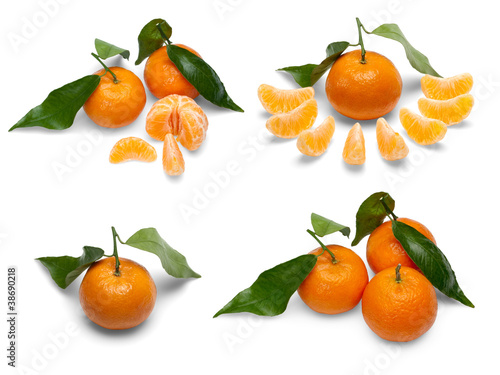 Tangerine fruits.