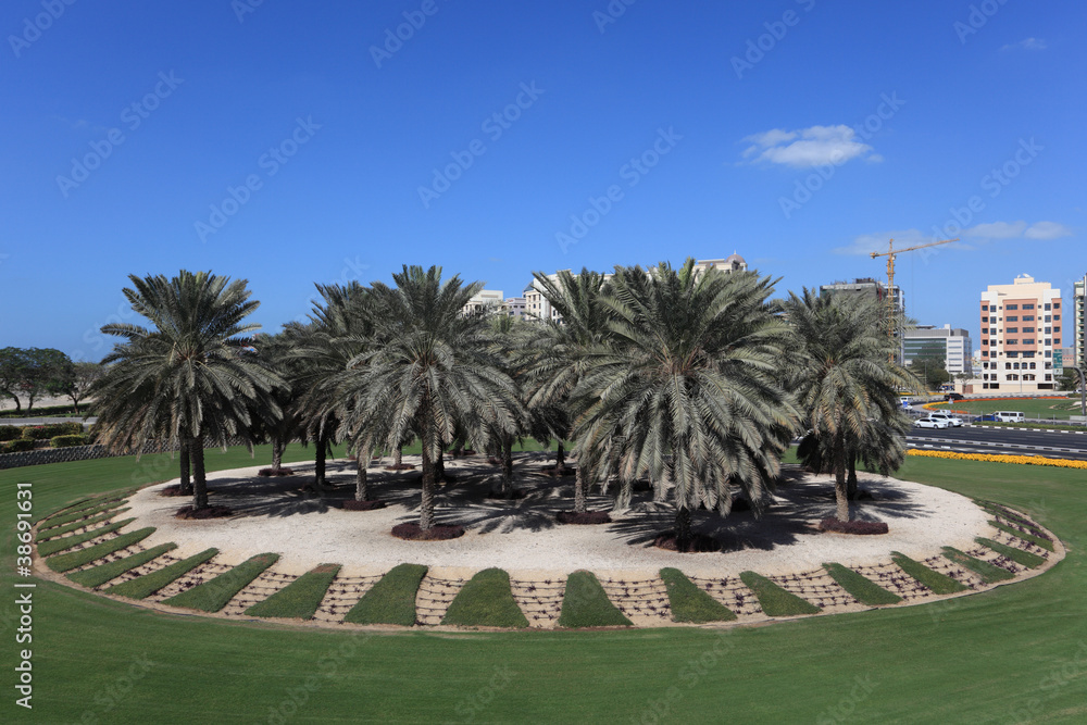 Palm Trees at a roundabout in Dubai, UAE Palm Trees at a roundabout in Dubai, UAE