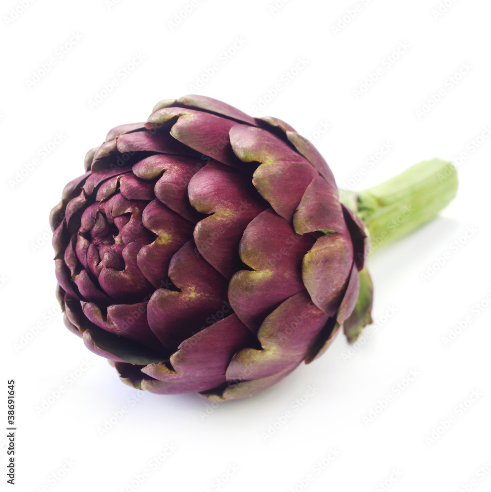 Obraz premium Artichoke