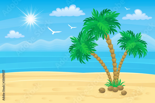 Palm beach