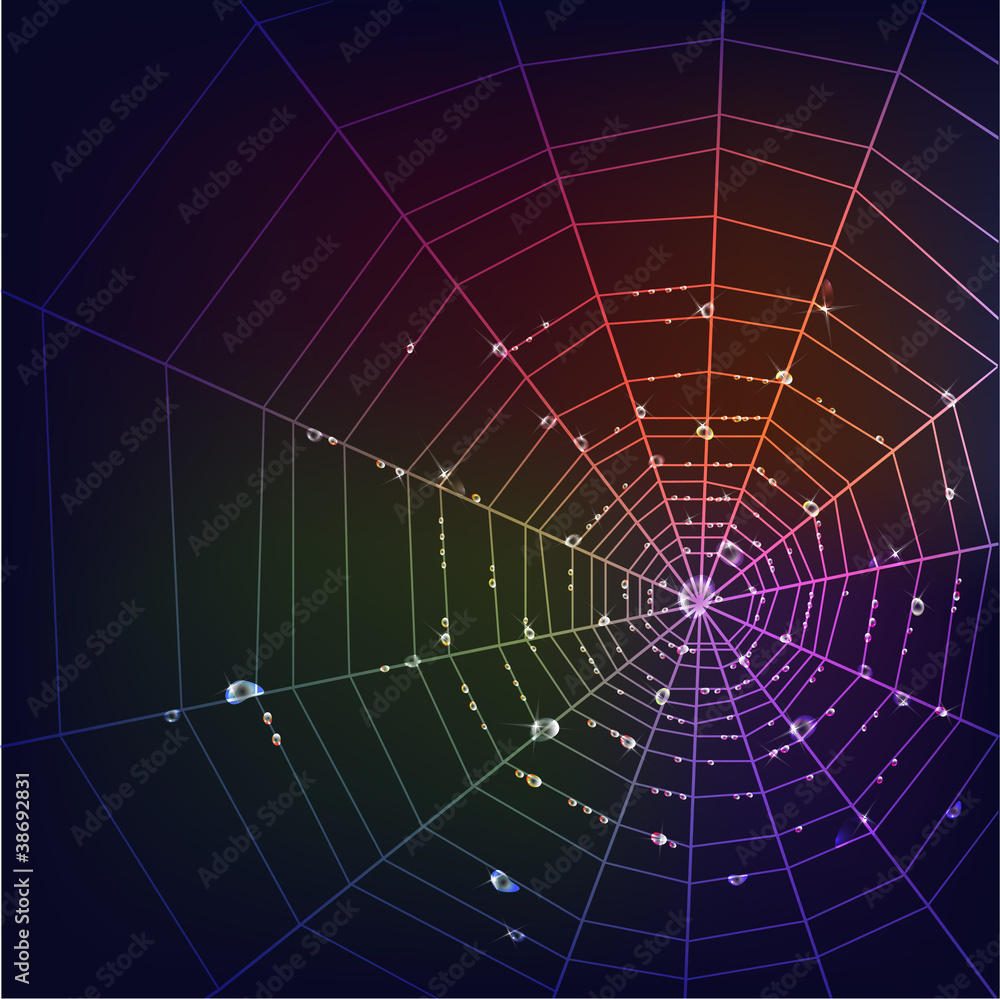 Fototapeta premium Dark spider web background