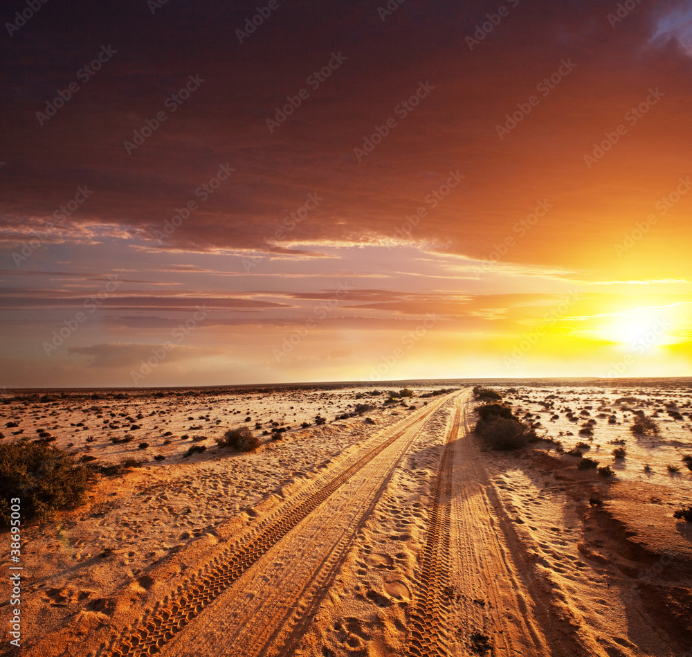 Naklejka premium Road in desert
