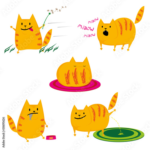 set of cats