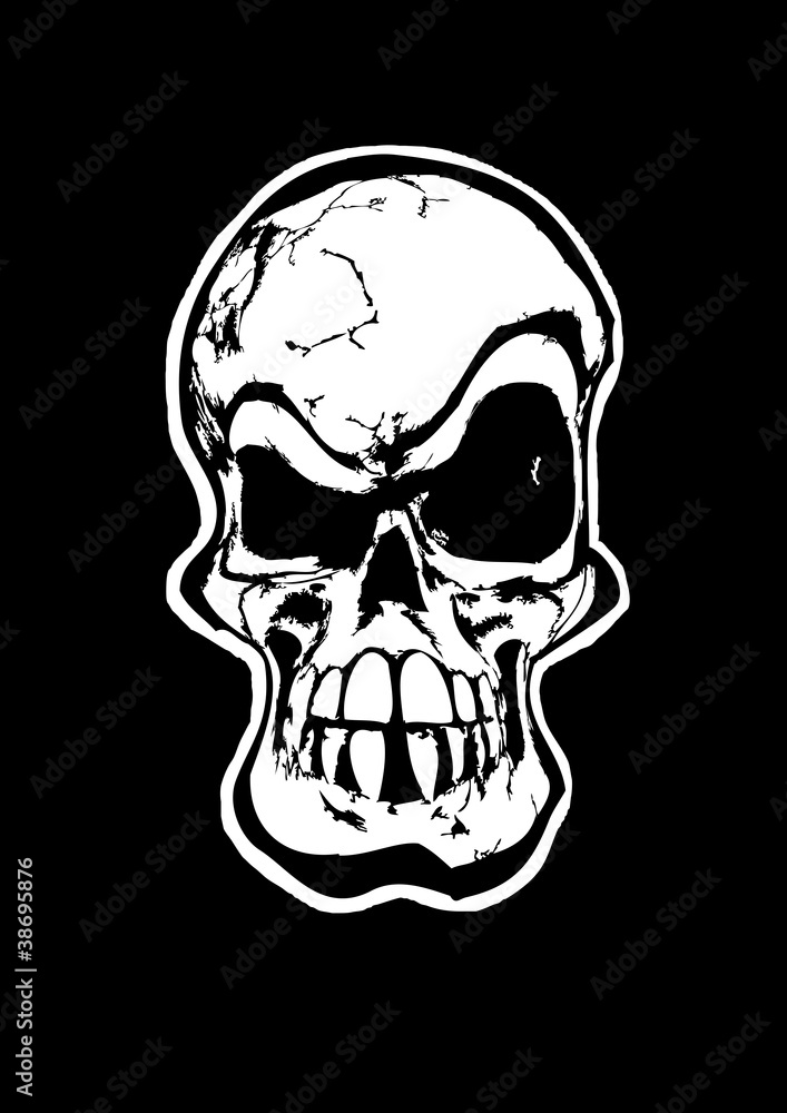 Obraz premium The Skull