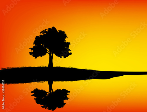 Tree silhouetted reflection