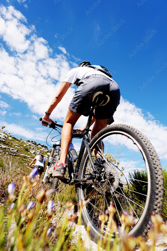 Fototapeta premium mountain bike trail
