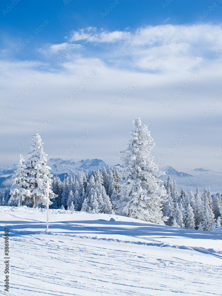 Winter in alps Winter in alps