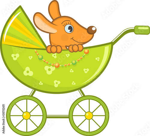 Baby animal in the stroller, vector illustration
