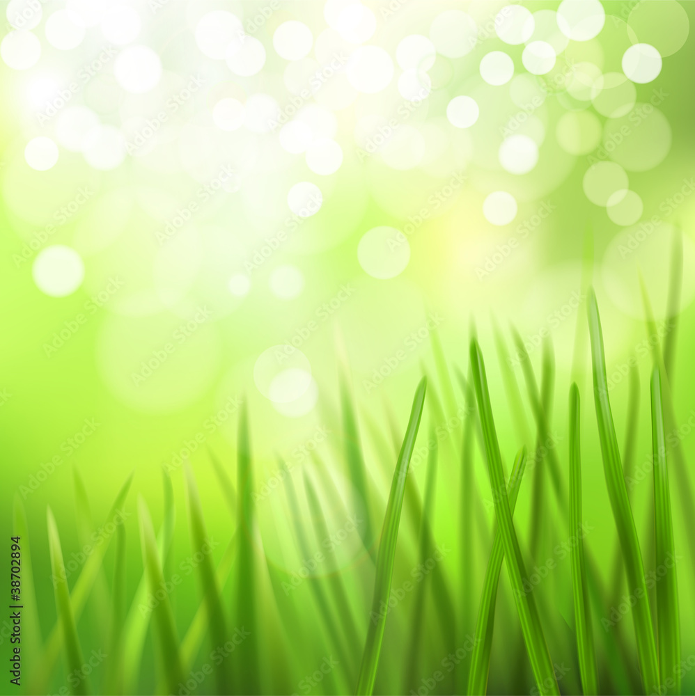 Meadow. Vector illustration.