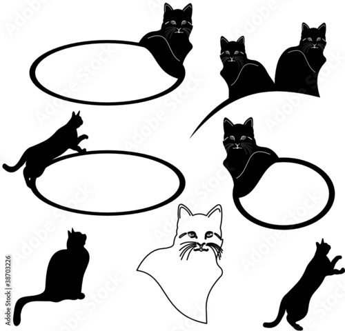 chat en silhouettes