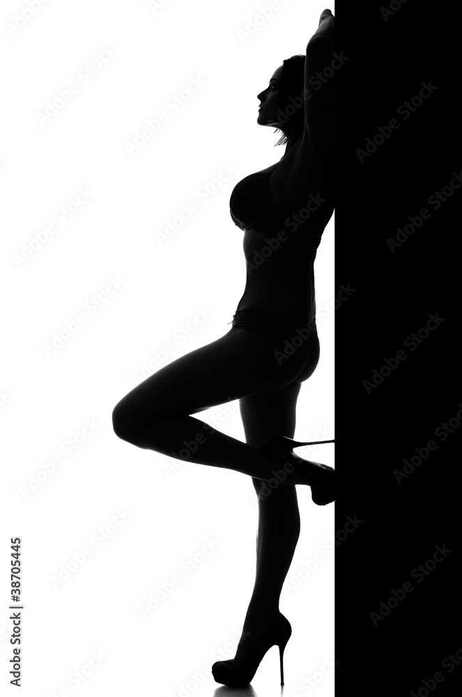 Fototapeta premium Woman curves in provocative erotic pose.
