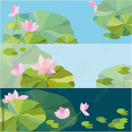 荷花背景