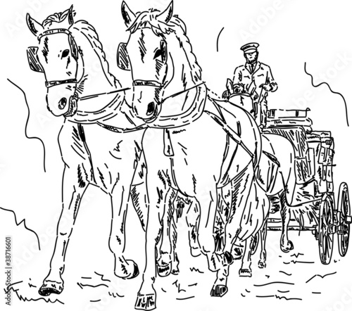 Horse carriage