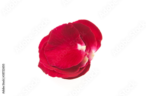 beautiful of   red roses petals in heart shape   isolated on whi
