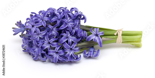 bunch of hyacinth photo