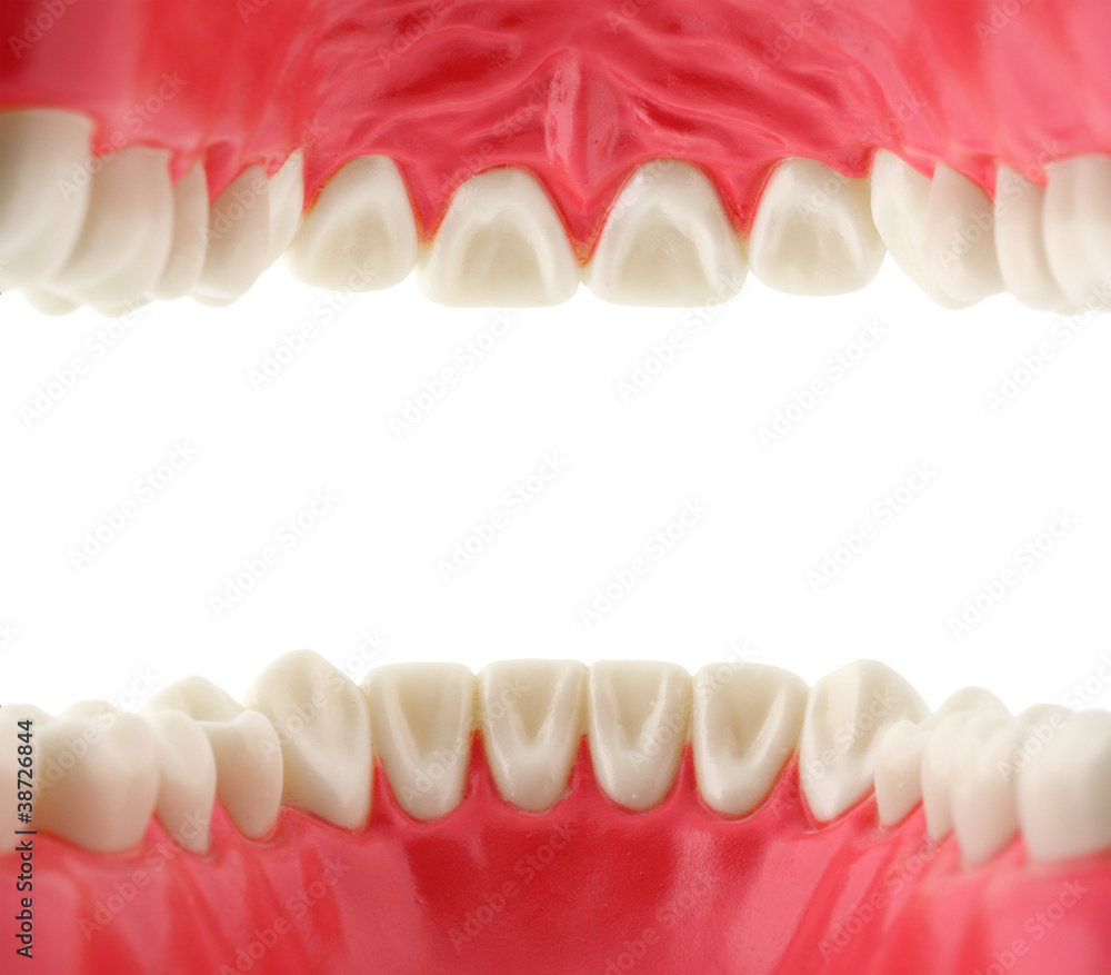 Fototapeta premium mouth with teeth, inside view
