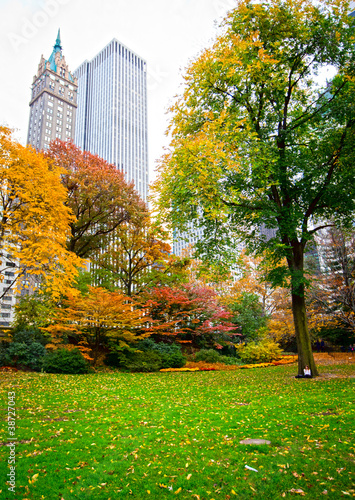 Central Park photo