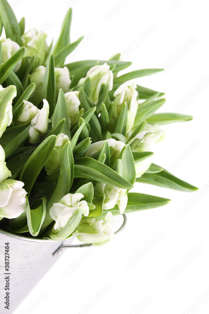 Fototapeta premium Tulips Bouquet